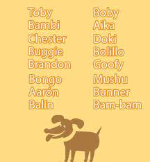 Maybe you would like to learn more about one of these? Male Dog Names Dognames Info