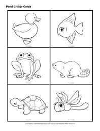 Pond Animal Cards Lesson Plans The Mailbox Pond Animals Animal Coloring Pages Pond Life Theme