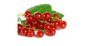 Confiture De Groseilles Recette Confiture Groseille Confiture Groseille