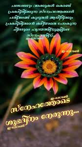 Then you are at the right place, here we provide best collection of malayalam quotes. Good Morning Malayalam Quotes Images Kanulidate