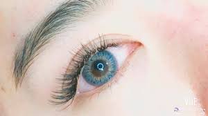 Unicorn eyelash png collections download alot of images for unicorn eyelash download free with high quality for designers. Unicorn Lash