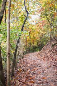Hiking Near Morganton North Carolina Burke County Burke County North Carolina Waterfalls North Carolina Mountains