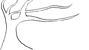 A cedar, a coniferous tree; Coloring Page Tree Branch High Quality Coloring Pages Coloring Home