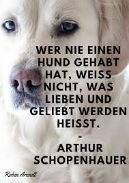 Wer Nie Einen Hund Gehabt Hat Weiss Nicht Was Lieben Und Geliebt Werden Heisst Hund Zitat Zitate Tiere Ich Liebe Hunde