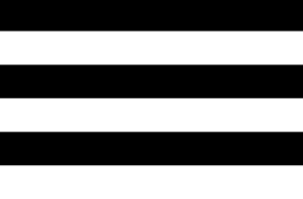 Black And White Flag With Green Stripe Meaning Pin En Screenshots