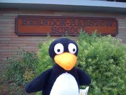 Jiji Visits St Math Partner Herndon Barstow School School Celebration Math School Math