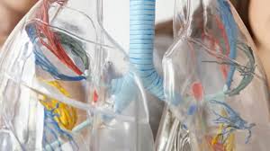 New zealand consumer medicine information. Avastin Archive Medizin Aspekte
