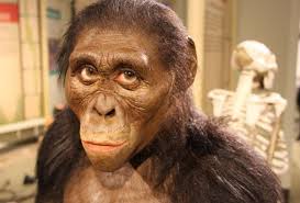 Lucy Cleveland's Instagram, Twitter & Facebook