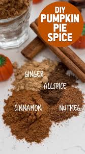 Homemade Pumpkin Pie Spice Diy Recipe Crazy For Crust Recipe In 2020 Homemade Pumpkin Spice Pumpkin Pie Spice Spice Mix Recipes