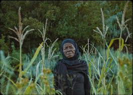 Favorite Fifteen Films of 2021 - by Marya E. Gates