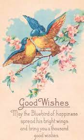 Bird Of Happiness Quotes Quotesgram