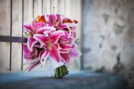 We did not find results for: Pink Stargazer Liliy And Orange Bridal Bouquet