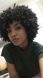 Pin By Naomi Guischard On Natural Hair Natural Hair Styles Curly Hair Styles Short Natural Hair Styles