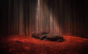 Black And Red Rock Wallpaper Black Rocks On Red Textile Digital Wallpaper Nature Landscape Sunlight Forest Stone Digital Wallpaper Landscape Red Textiles