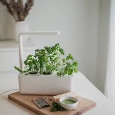 Not long after we bought our first house, my wife and i planted a raised garden bed in our backyard, but it. Indoor Herb Gardens And Indoor Gardening Kits Click Grow