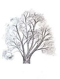 Check spelling or type a new query. How To Draw A Tree Happy Family Art