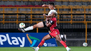 Leones vs Tigres: Duelo Felino en la Liga BetPlay y el Inusual Zoológico Danés - Imagen principal del artículo
