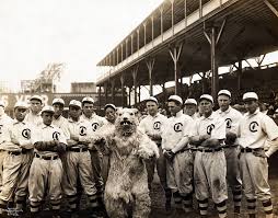 When the chicago cubs won the world series last year, they ended the longest championship drought in professional sports. Chicago Cubs History Timeline Of World Series Drought Curse