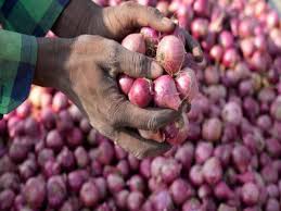 Why did onion prices suddenly start increasing Will it become more  expensive or will the prices fall - Onion Price: अचानक क्यों बढ़ने लगी प्याज  की कीमतें? अभी और होगा महंगा या