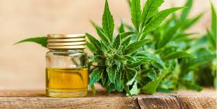 It's not haram but a lot of cbd oil has thc contained in it in small amounts which makes it iffy. Is Cbd Oil Halal Or Haram We Answer Your Question Here Candid