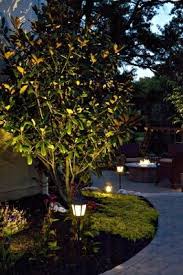 Landscape Lighting Not Only Brings To Life This Magnolia Tree At Night But Provides Safety And Security As W Outdoor Gardens Outdoor Backyard Backyard Lighting