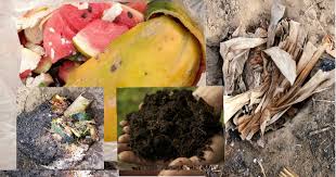 Isi nampan kompos dengan daun, potongan rumput, dan sisa sayur dan buah. Cara Buat Tanah Kompos Organik Untuk Suburkan Tanaman Dari Sisa Makanan Di Dapur My Info Berita