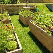 How To Start A Victory Garden - Great Ideas!! | Montana Happy