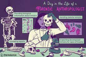 Forensic anthropology can be defined as the study of human skeletal remains in the course of a legal inquiry. Forensic Anthropologist Job Description Salary Skills More