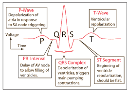 Avoid or limit caffeine and alcohol 2. Becoming Familiar With Synchronized Cardioversion Acls Com Resources