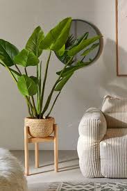 Eva Curcuma Topf Faux Baum In 2020 House Plants Decor Bedroom Plants Faux Tree