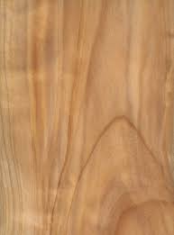 Their rapid, thick growth means they are sometimes used to achieve privacy, but such use can r. Mediterranen Cypress The Wood Database Lumber Identification Softwood