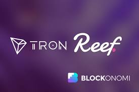 This is because bitcoin and ehtereum are considered a base cryptocurrency in most exchanges. Reef Tron Trx Work Together To Expand Defi Space