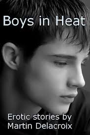 Boys in Heat: Erotic stories by Martin Delacroix: Delacroix, Martin:  9780615694733: Amazon.com: Books