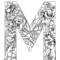 Letter m coloring pages for preschool get free printable letter m coloring page for pre k, preschool, and kindergarten. Animal And Plant Alphabet Letter M Coloring Pages Surfnetkids