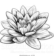 Black And White Water Lily Flower Tattoo Vector Illustration Of A Vintage Black And White Engraved Or Woodcut Blooming Waterlily Lotus Flower Lotus Flower Drawing Birth Flower Tattoos Flower Drawing