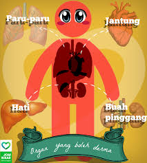 Pertama sekali, kita perlu ketahui bahawa ini adalah perkara mubah iaitu perkara yang dibenarkan oleh ugama. Derma Organ July 2016