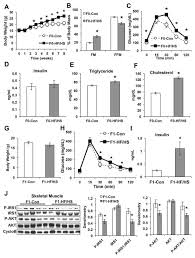 While the first is a name that relates to beauty, grace, happiness or something else, the latter part relates to the family root with appealing sound and meaning. Maternal Metabolic Syndrome Programs Mitochondrial Dysfunction Via Germline Changes Across Three Generations Abstract Europe Pmc