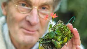 Spotlight Series: Orchid Greenhouses with Babs Wagner