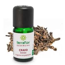 Cravo — flor do craveiro. Oleo Essencial De Cravo Botao Terra Flor Aromaterapia