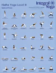 Yoga Moves For Beginners Posted By Dana Karpain At 3 14 Pm Hatha Yoga Poses Yoga Moves For Beginners Basic Yoga