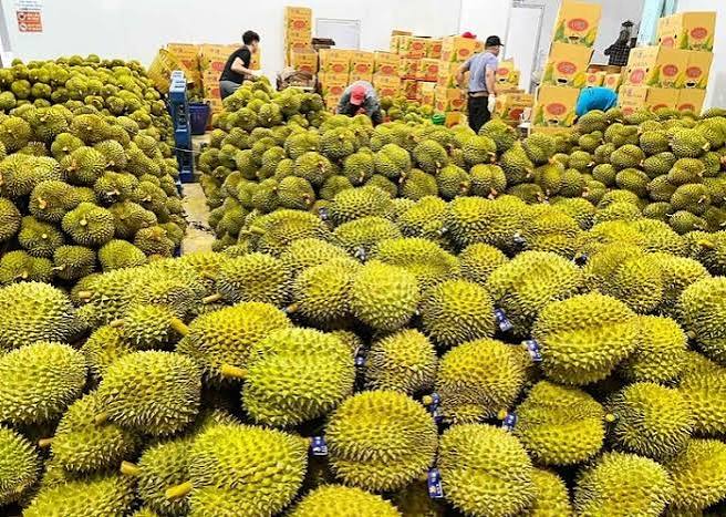 Bộ chứng từ xuất khẩu hàng hóa từ Việt Nam sang Trung Quốc gồm những gì?