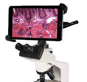 Compound Microscope with Integrated 8" Tablet - BTI1-169-SP
