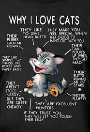Https Www Facebook Com Wearethewhiskerssyndicate Photos A 143313352533075 1043320379199030 Type 3 I Love Cats Crazy Cats Cute Cats