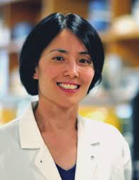 National Foundation for Cancer Research Cure Annual Report 2016