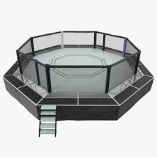 Fighting Octagon Arena 3d Model Ad Octagon Fighting Model Arena Octagon 3d Model Cinema 4d R14
