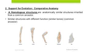 Unit 10 History Of Biological Diver Pap Evolution Darwin S Travel Ppt Video Online Download