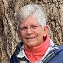 Beverly Ann Blauwkamp Obituary