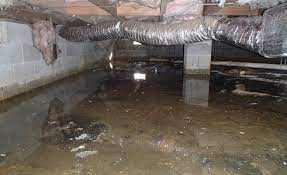 We did not find results for: There S Standing Water In My Crawl Space Should I Be Worried
