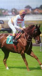 Red Tempo With Brent Thomson Aboard Horse Racing Horses Sport Of Kings