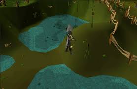 He will understand everything when (know all the facts). Distraction And Diversion Treasure Trails Sal S Realm Of Runescape